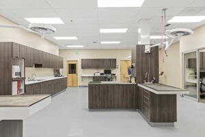 orting-animal-hospital-gallery-004 orting-animal-hospital-gallery-004