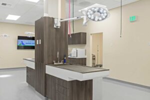 orting-animal-hospital-gallery-005 orting-animal-hospital-gallery-005